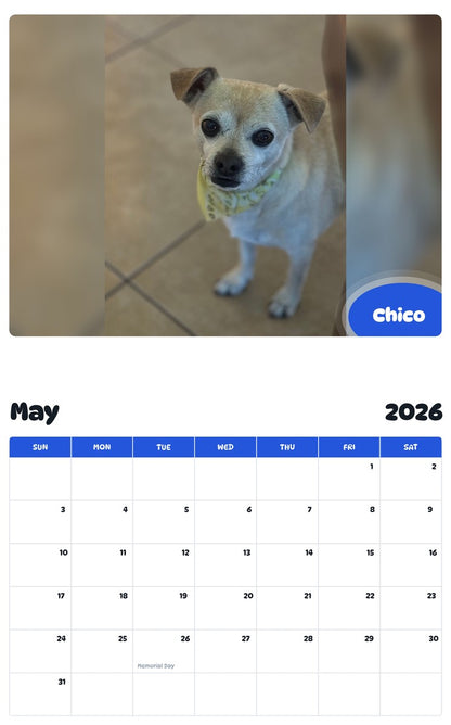 2026 - 2027 Chico - Pawidols Pet Calendar