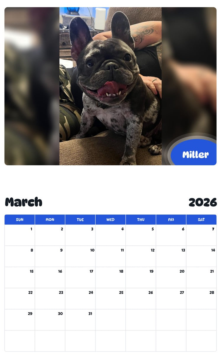 November 2025 - October 2026 Miller - Pawidols Pet Calendar