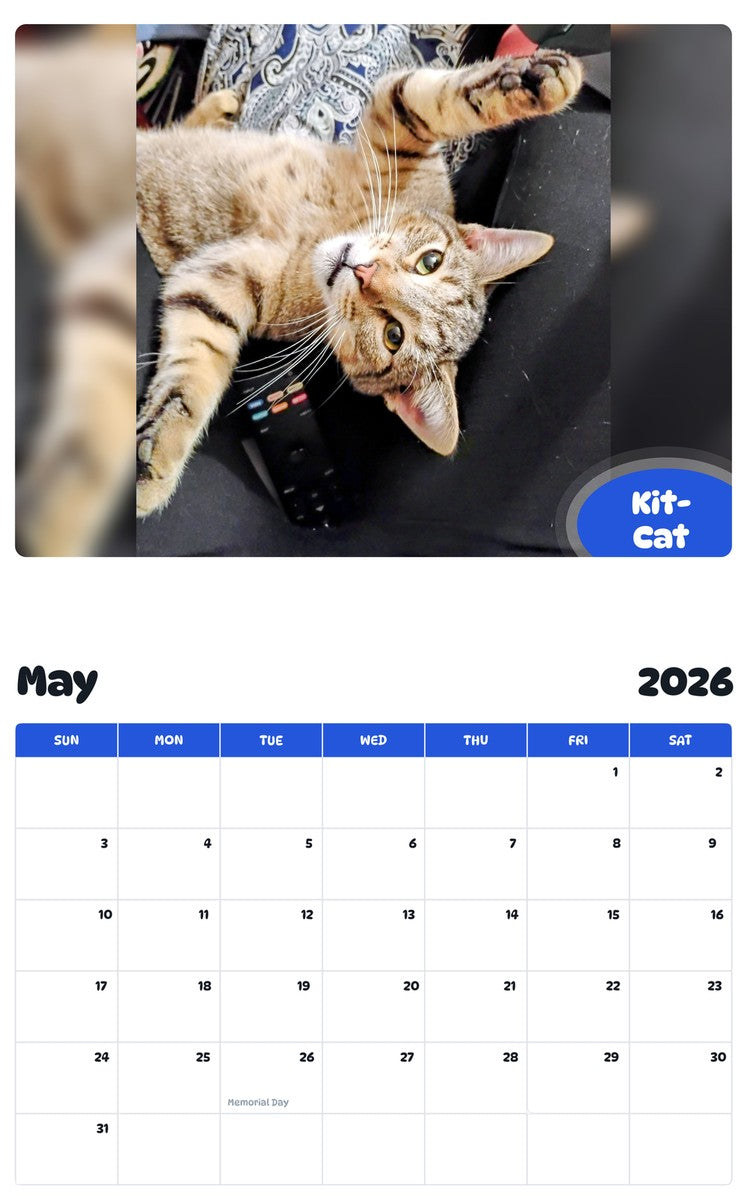 2026 - 2027 Kit-Cat - Pawidols Pet Calendar