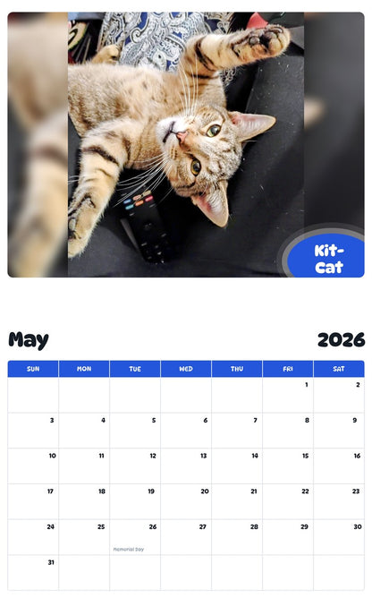 2026 - 2027 Kit-Cat - Pawidols Pet Calendar