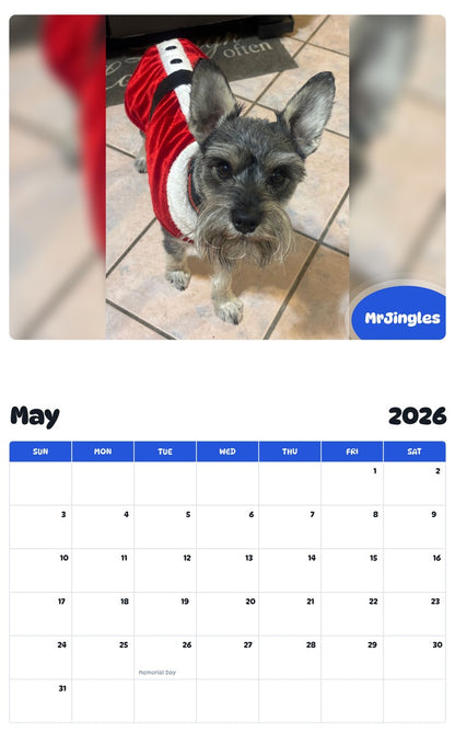 2026 - 2027 MrJingles - Pawidols Pet Calendar