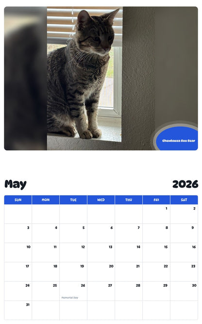 2026 - 2027 Chewbacca Boo Bear - Pawidols Pet Calendar