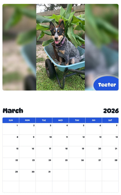 November 2025 - October 2026 Teeter - Pawidols Pet Calendar