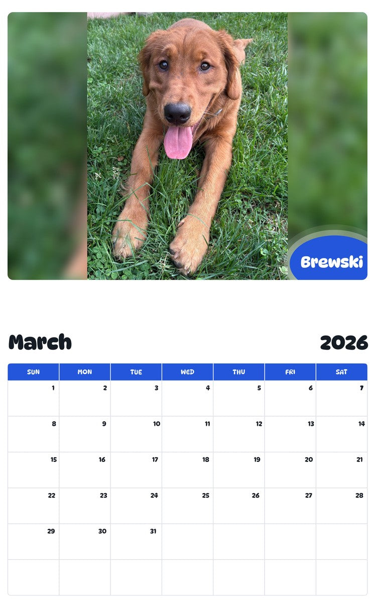 November 2025 - October 2026 Brewski - Pawidols Pet Calendar