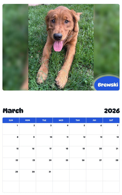 November 2025 - October 2026 Brewski - Pawidols Pet Calendar