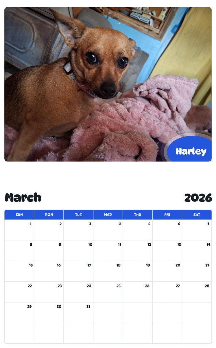November 2025 - October 2026 Harley - Pawidols Pet Calendar