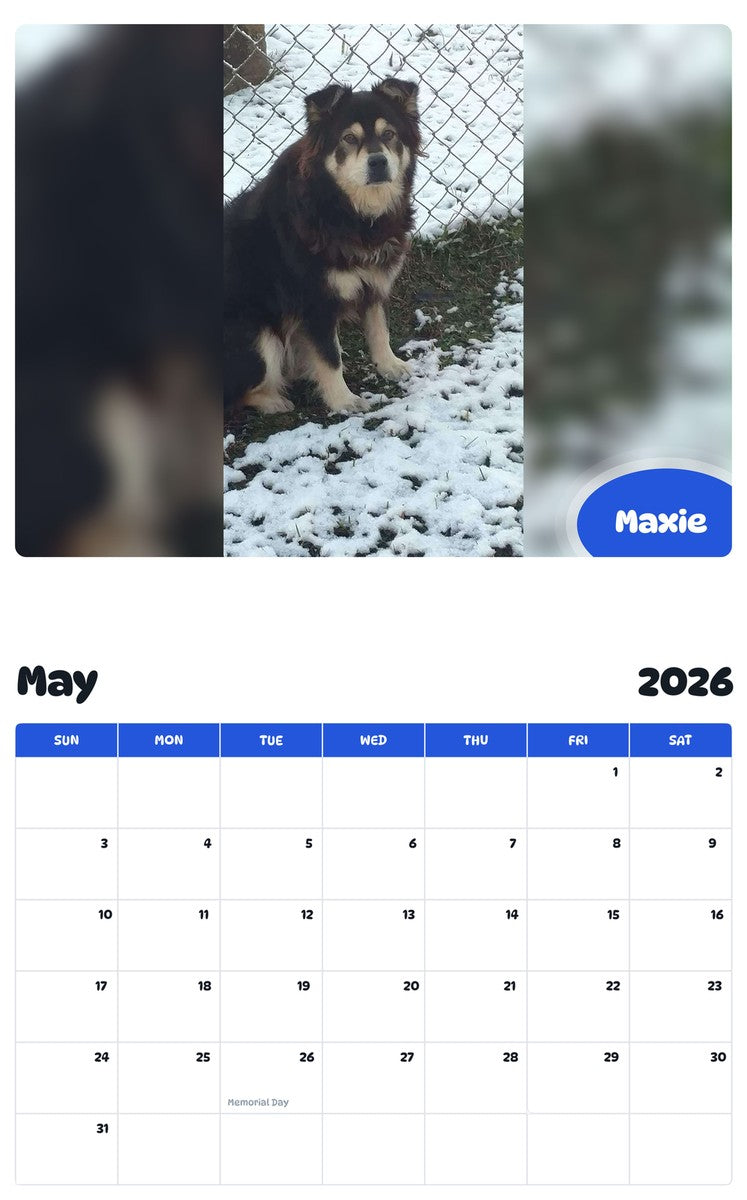 2026 - 2027 Maxie - Pawidols Pet Calendar