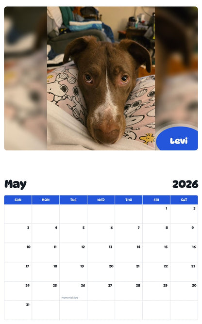 2026 - 2027 Levi - Pawidols Pet Calendar