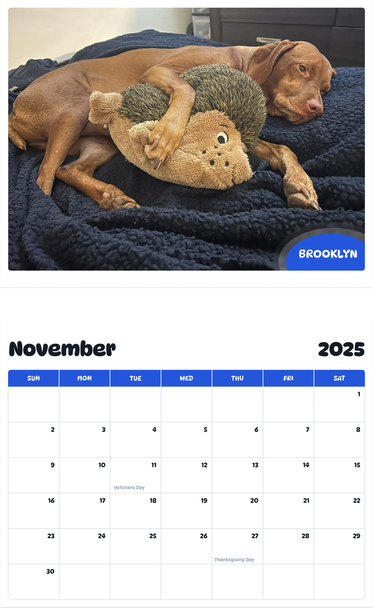 July 2025 - June 2026 Brooklyn - Pawidols Pet Calendar