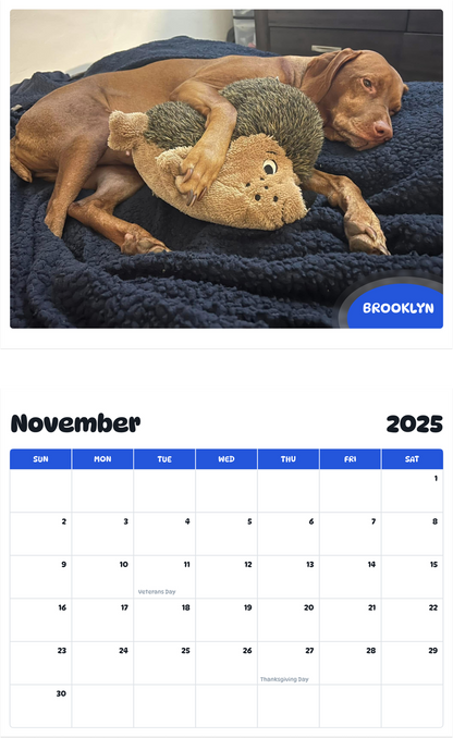 July 2025 - June 2026 Brooklyn - Pawidols Pet Calendar