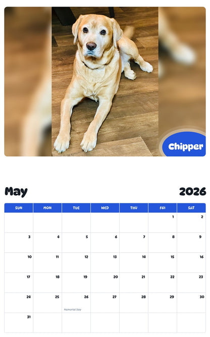 2026 - 2027 Chipper - Pawidols Pet Calendar