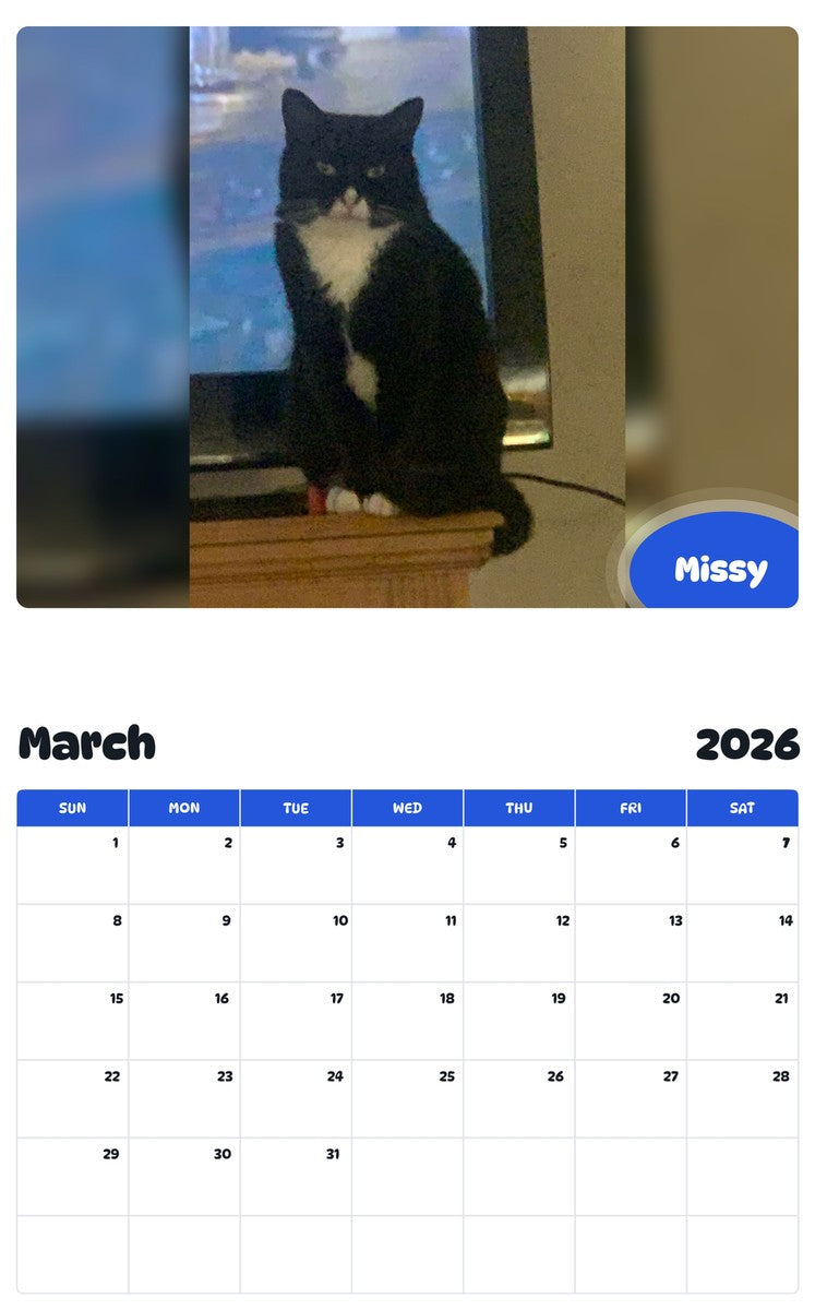 November 2025 - October 2026 Missy - Pawidols Pet Calendar