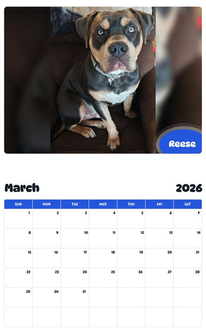 November 2025 - October 2026 Reese - Pawidols Pet Calendar