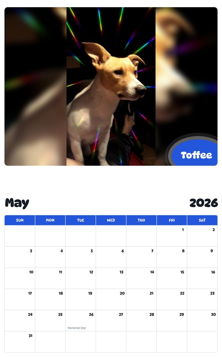2026 - 2027 Toffee - Pawidols Pet Calendar