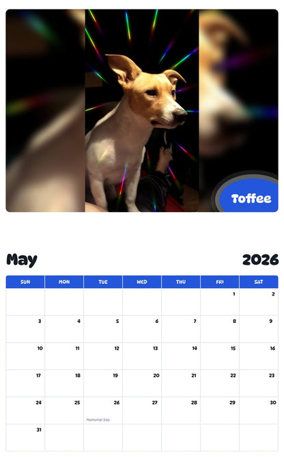 2026 - 2027 Toffee - Pawidols Pet Calendar