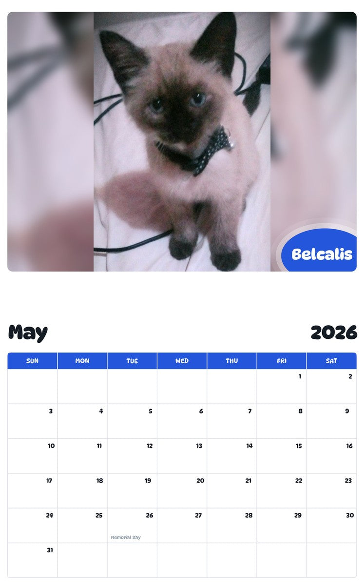 2026 - 2027 Belcalis - Pawidols Pet Calendar