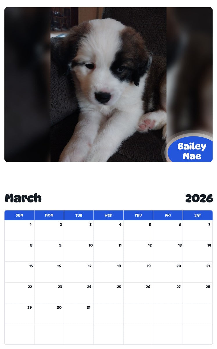 November 2025 - October 2026 Bailey Mae - Pawidols Pet Calendar
