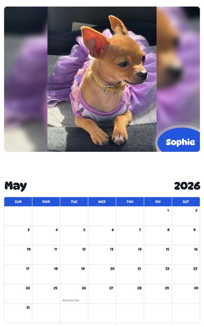 2026 - 2027 Sophie - Pawidols Pet Calendar
