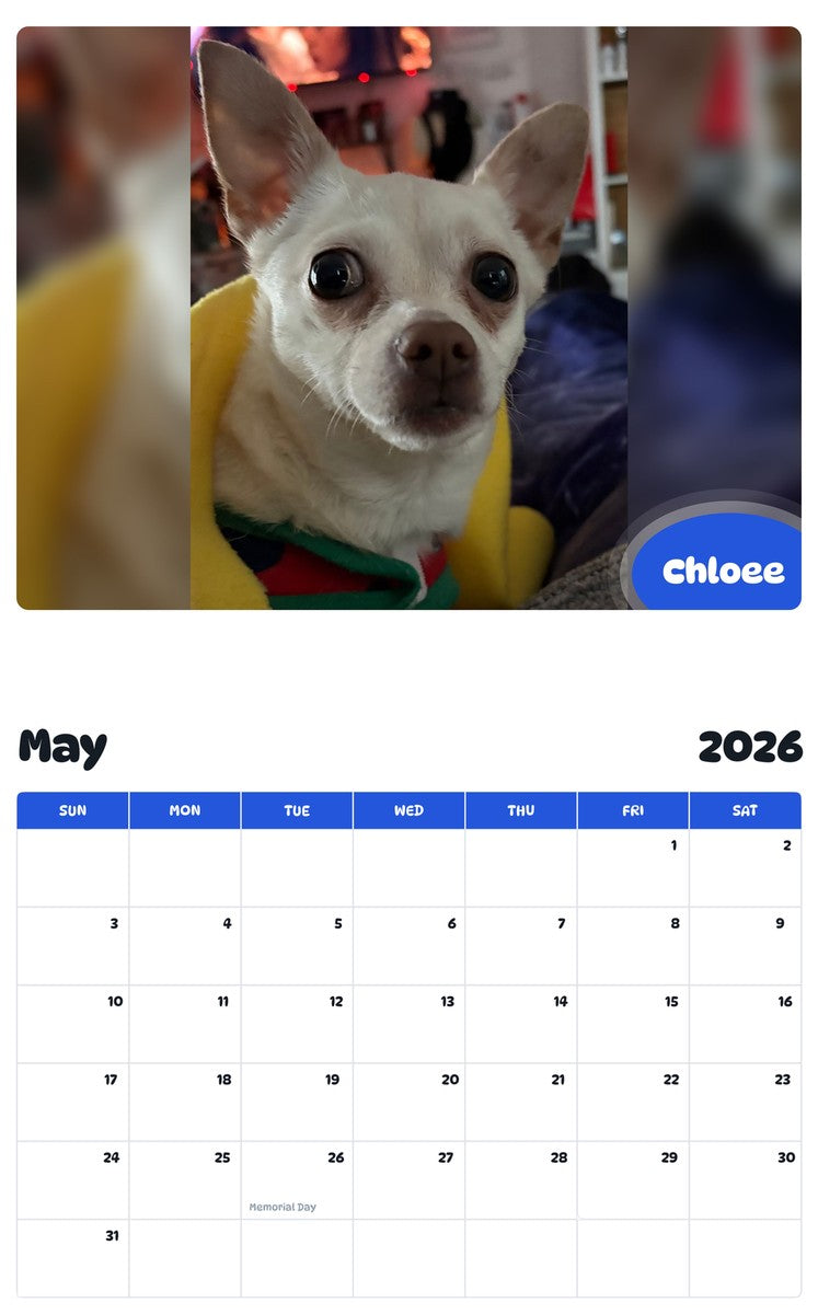 2026 - 2027 Chloee - Pawidols Pet Calendar