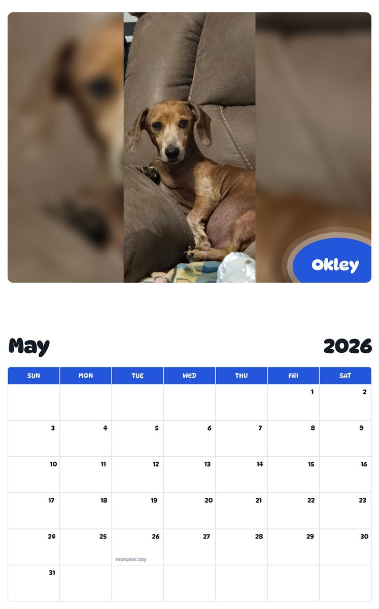 2026 - 2027 Okley - Pawidols Pet Calendar