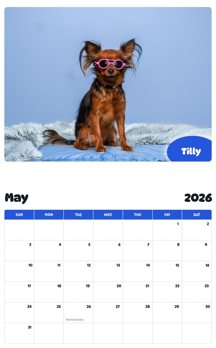 2026 - 2027 Tilly - Pawidols Pet Calendar