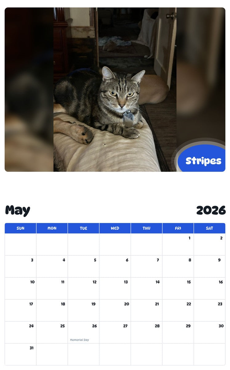 2026 - 2027 Stripes - Pawidols Pet Calendar