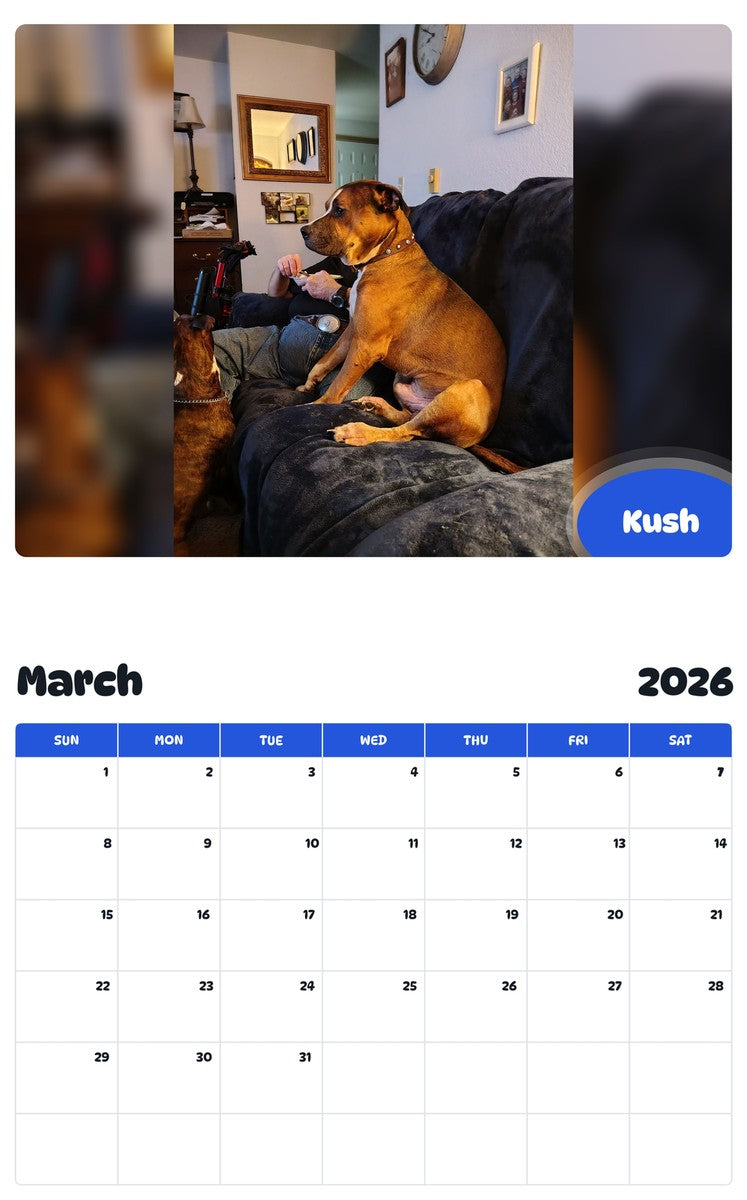 November 2025 - October 2026 Kush - Pawidols Pet Calendar