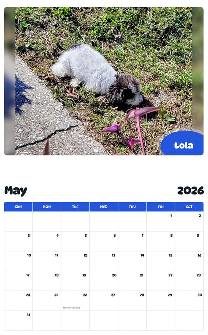 2026 - 2027 Lola - Pawidols Pet Calendar