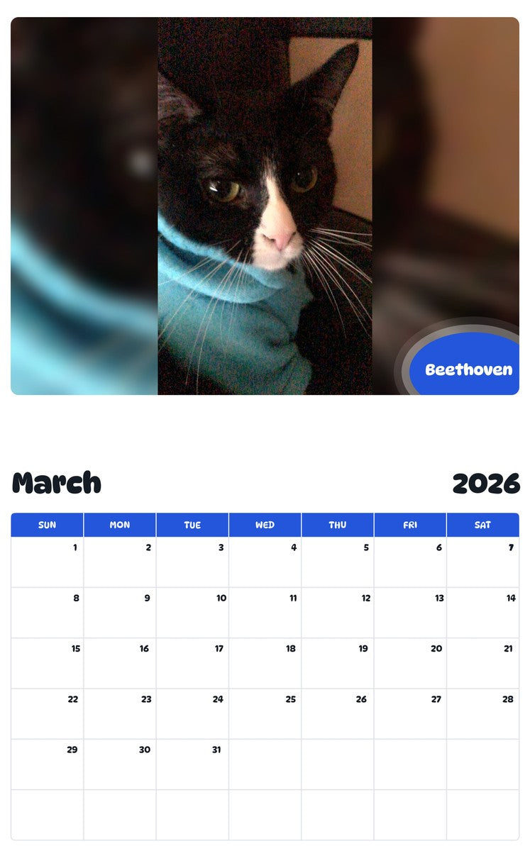 November 2025 - October 2026 Beethoven - Pawidols Pet Calendar