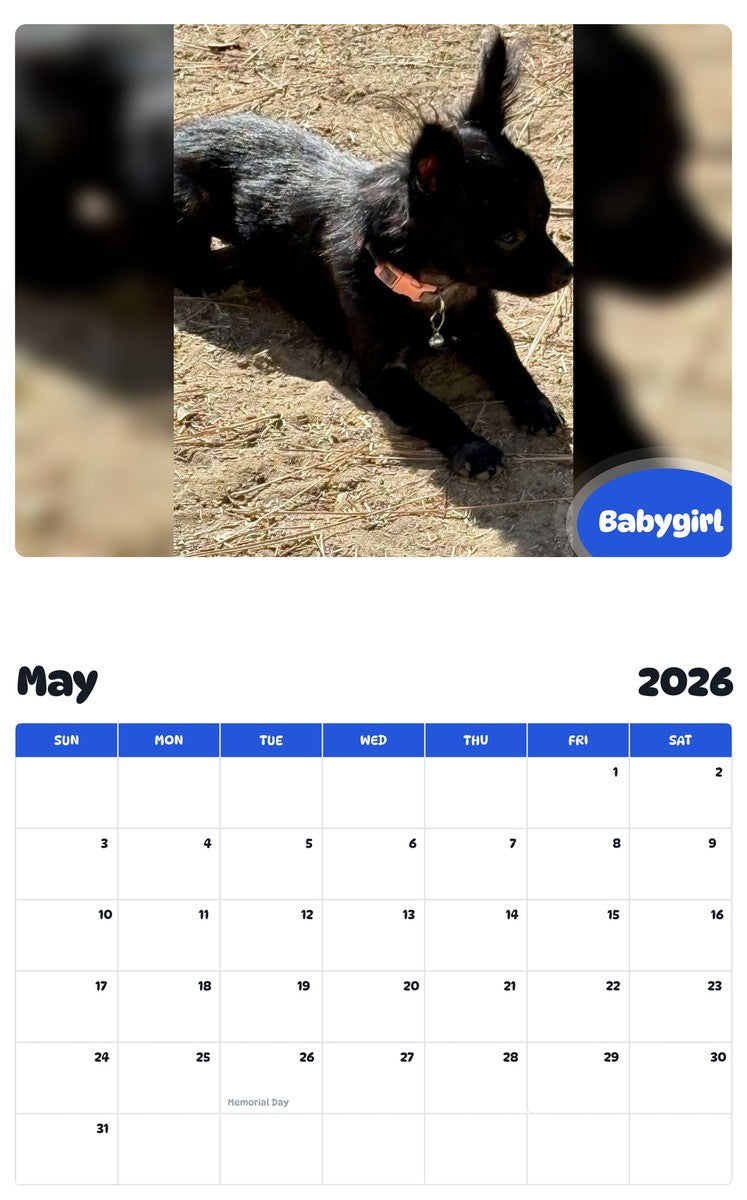 2026 - 2027 Babygirl - Pawidols Pet Calendar