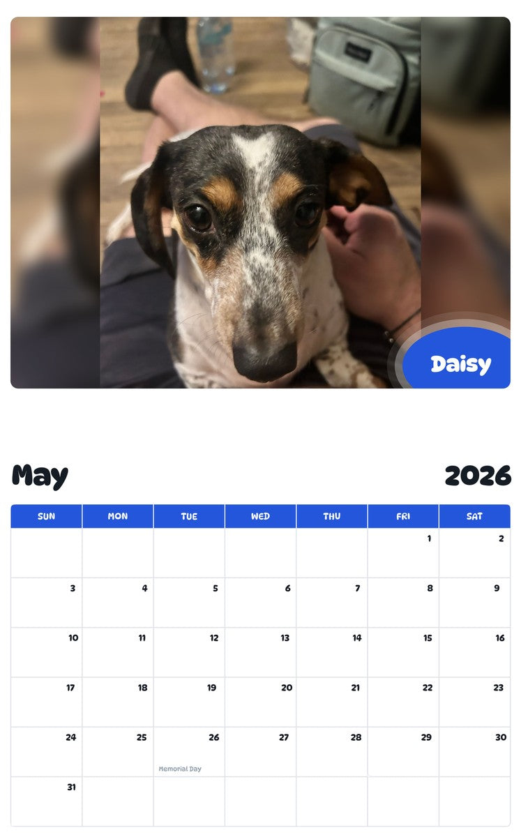 2026 - 2027 Daisy - Pawidols Pet Calendar