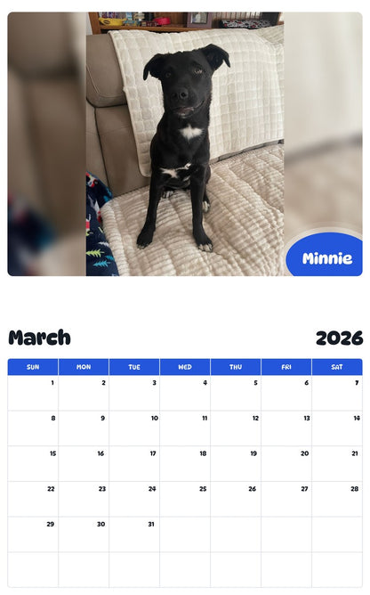 November 2025 - October 2026 Minnie - Pawidols Pet Calendar