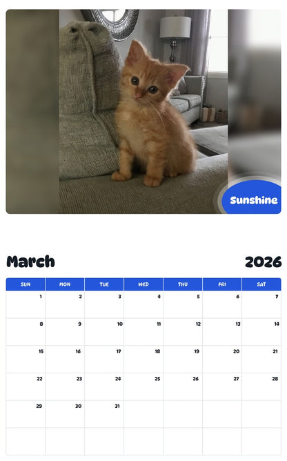 November 2025 - October 2026 Sunshine - Pawidols Pet Calendar