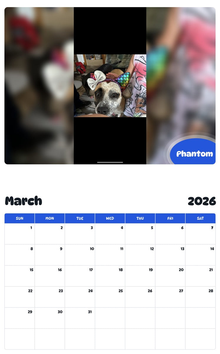 November 2025 - October 2026 Phantom - Pawidols Pet Calendar