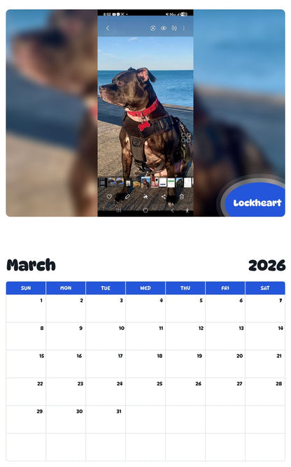 November 2025 - October 2026 Lockheart - Pawidols Pet Calendar