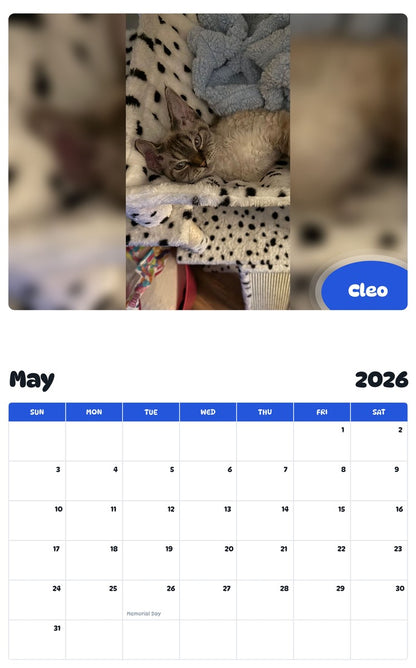 2026 - 2027 Cleo - Pawidols Pet Calendar