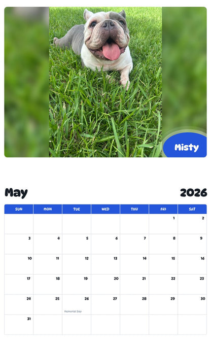 2026 - 2027 Misty - Pawidols Pet Calendar