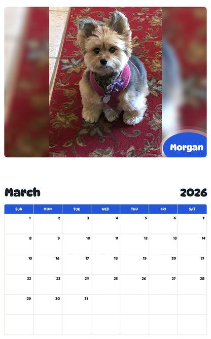 November 2025 - October 2026 Morgan - Pawidols Pet Calendar