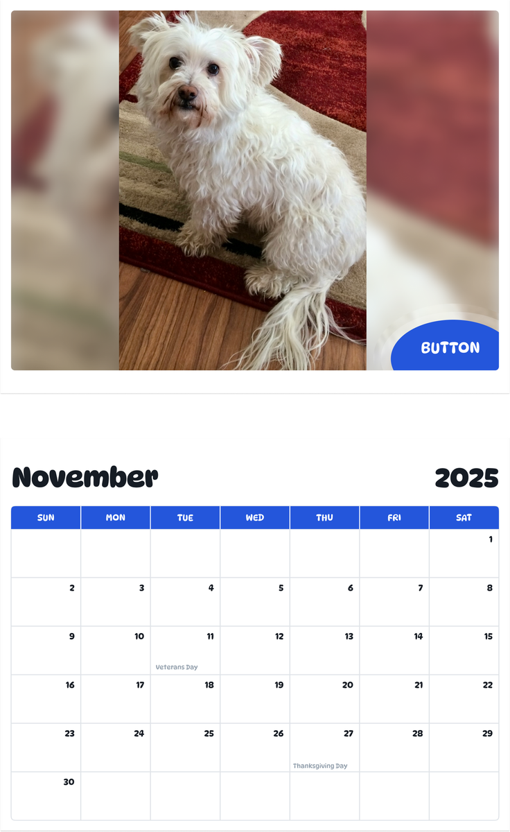 July 2025 - June 2026 Button - Pawidols Pet Calendar