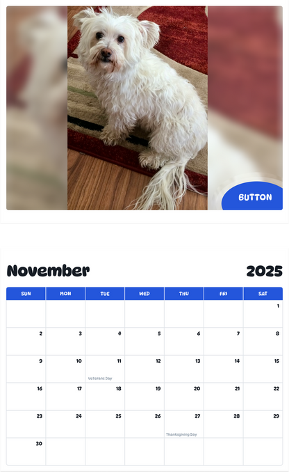 July 2025 - June 2026 Button - Pawidols Pet Calendar