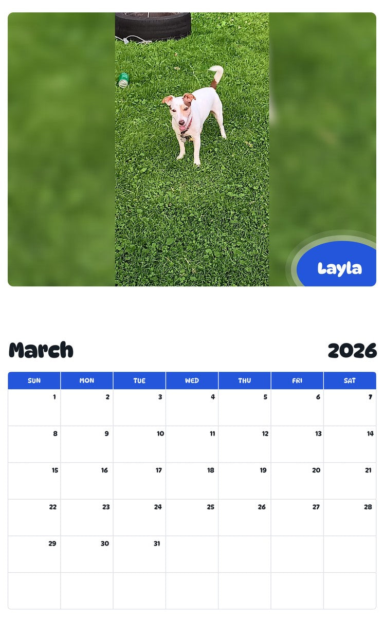 November 2025 - October 2026 Layla - Pawidols Pet Calendar