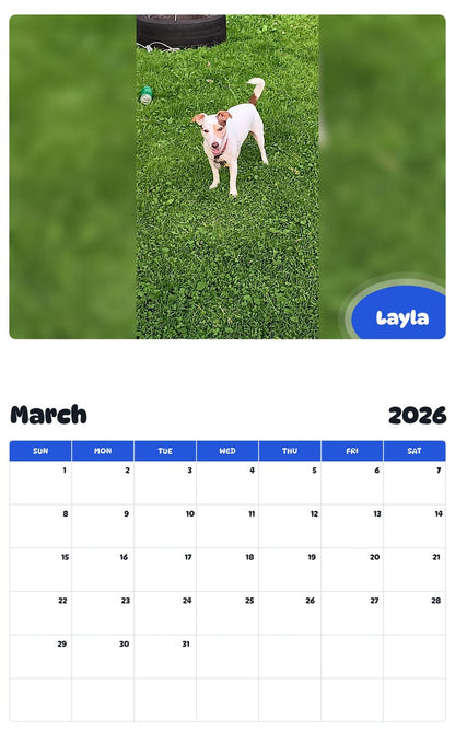 November 2025 - October 2026 Layla - Pawidols Pet Calendar