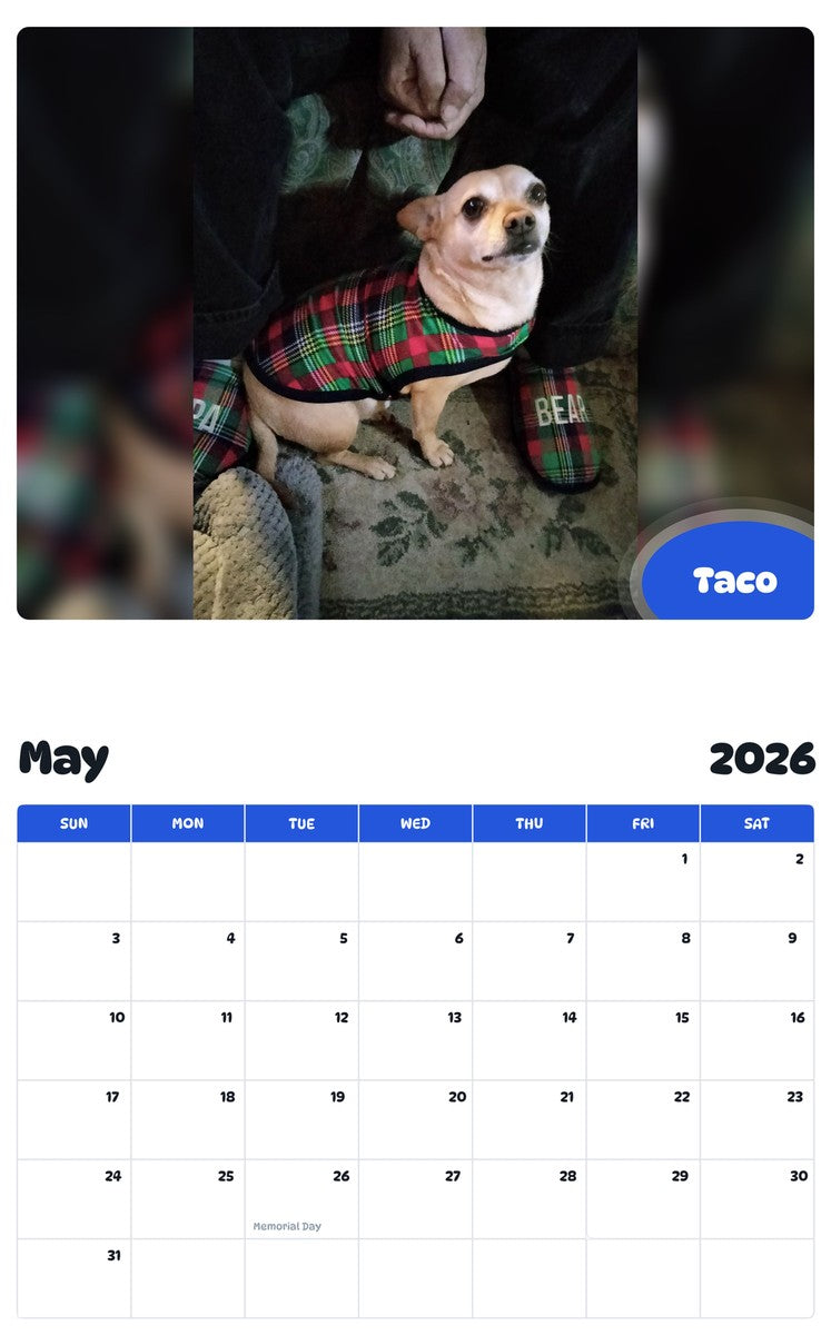 2026 - 2027 Taco - Pawidols Pet Calendar