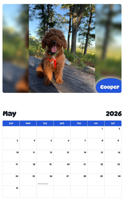 2026 - 2027 Cooper - Pawidols Pet Calendar