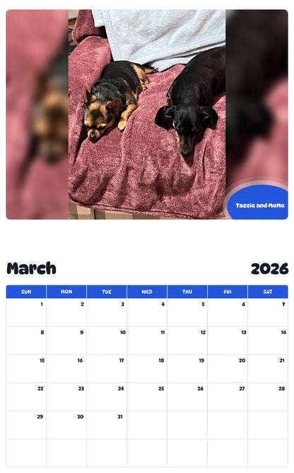 November 2025 - October 2026 Tazzie and MeMe - Pawidols Pet Calendar