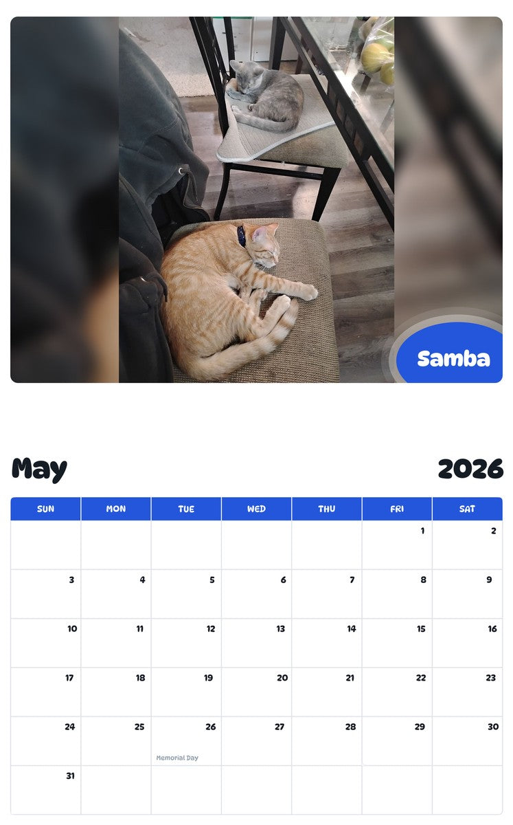 2026 - 2027 Samba - Pawidols Pet Calendar