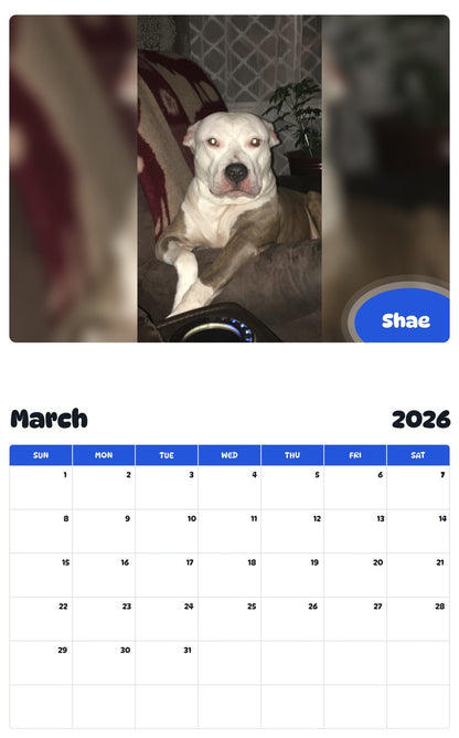 November 2025 - October 2026 Shae - Pawidols Pet Calendar