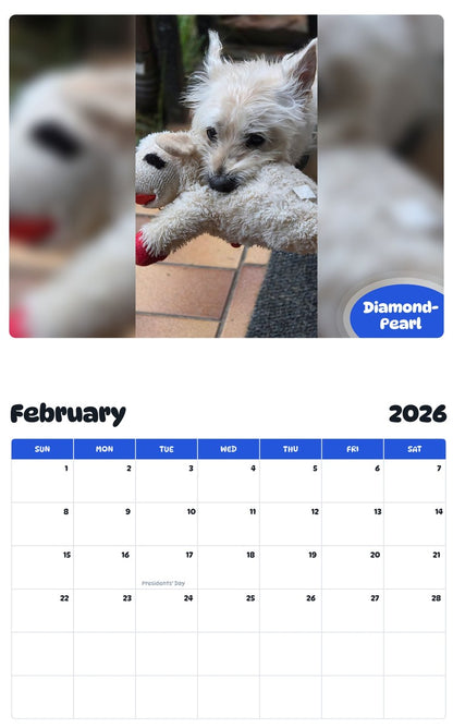 November 2025 - October 2026 Diamond-Pearl - Pawidols Pet Calendar
