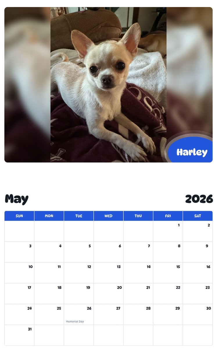 2026 - 2027 Harley - Pawidols Pet Calendar