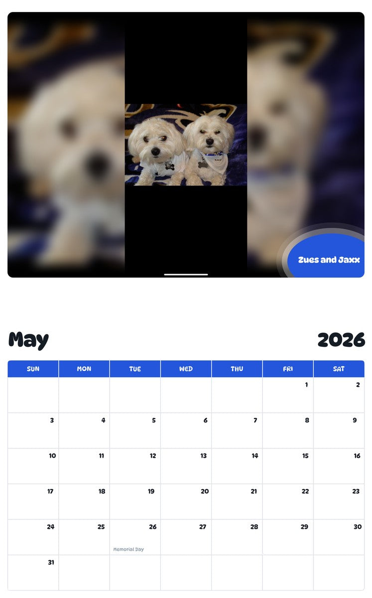 2026 - 2027 Zues and Jaxx - Pawidols Pet Calendar